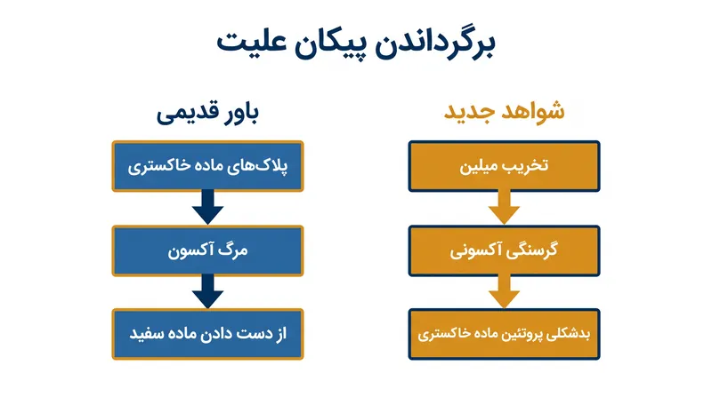 مدل شواهد جدید، درک سنتی از نحوه گسترش تخریب عصبی در مغز را معکوس می‌کند.