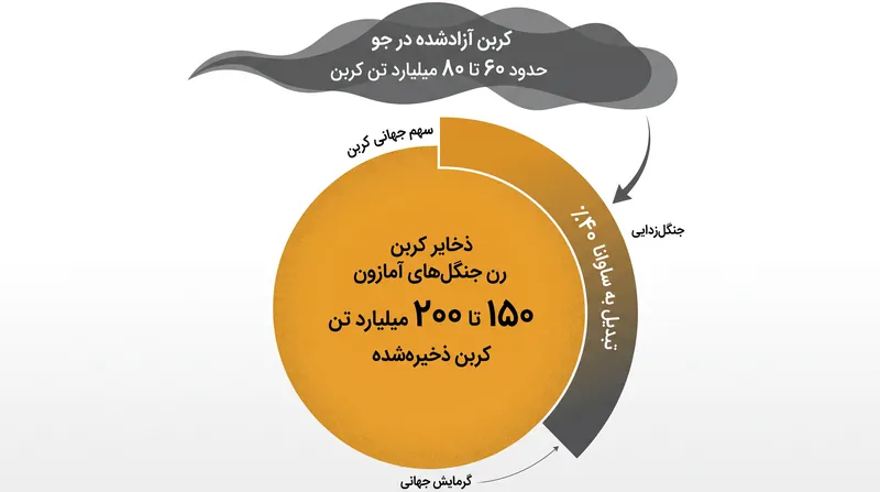 مرگ گسترده درختان میلیاردها تن کربن ذخیره‌شده را آزاد می‌کند و اهداف جهانی آب و هوایی را به شدت پیچیده می‌سازد.