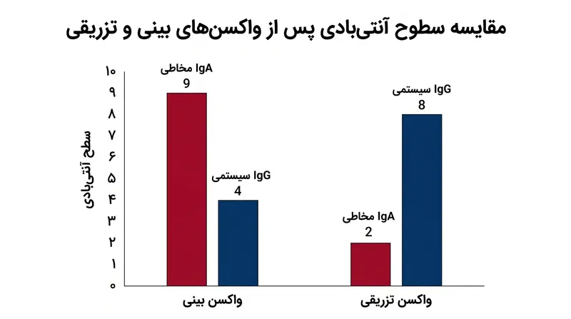 برخلاف واکسن‌های تزریقی سنتی، اسپری بینی سطوح بالایی از آنتی‌بادی‌های IgA موضعی را در مجرای تنفسی فوقانی القا می‌کند.