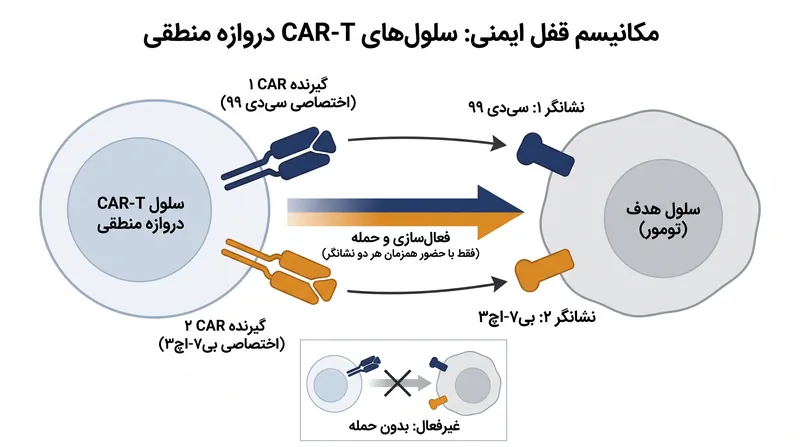 سلول‌های دروازه منطقی نسل بعدی برای فعال شدن به دو نشانگر تومور مجزا نیاز دارند، که از حمله به بافت سالم جلوگیری می‌کند.