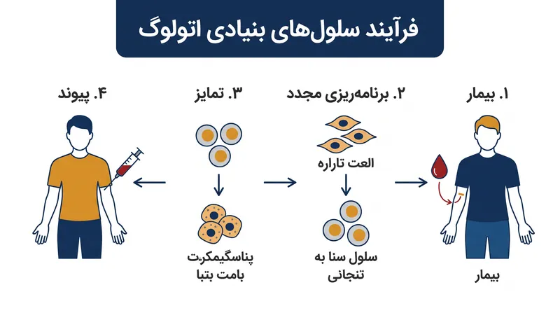 فرآیند پیوند اتولوگ (خودی) از زیست‌شناسی خود بیمار استفاده می‌کند تا پاسخ رد سیستم ایمنی را دور بزند.