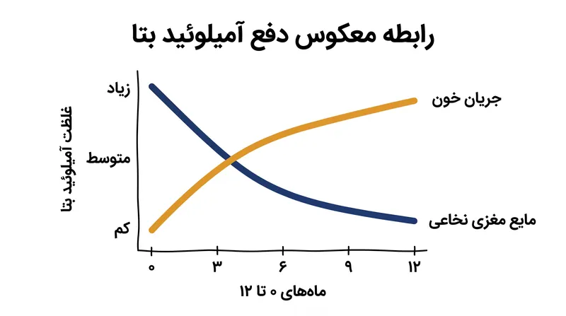 در سالمندان سالم، واکسن ب.ث.ژ دفع آمیلوئید بتا را از مایع مغزی نخاعی به داخل جریان خون تسهیل کرد.
