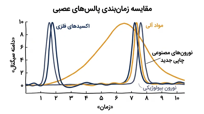 برخلاف مواد قبلی، نورون‌های چاپی جدید دقیقاً در بازه زمانی مورد نیاز برای برقراری ارتباط با سلول‌های زنده عمل می‌کنند.