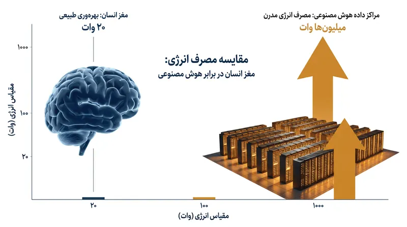 مغز انسان محاسبات پیچیده را با کسری از انرژی مورد نیاز کامپیوترهای دیجیتال انجام می‌دهد.