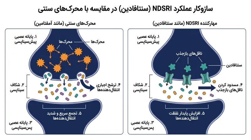 برخلاف محرک‌های سنتی، سنتافادین به جای مجبور کردن به ترشح انتقال‌دهنده‌های عصبی، بازجذب آنها را مسدود می‌کند.