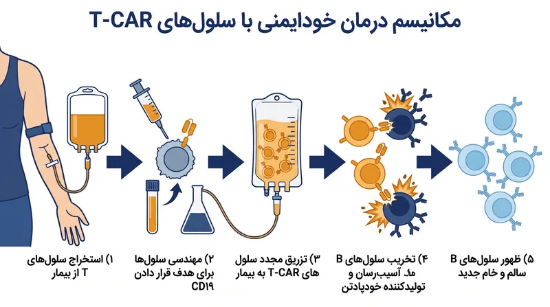 چگونه سلول‌های T-CAR با حذف سلول‌های B تولیدکننده خودپادتن، باعث راه‌اندازی مجدد عمیق سیستم ایمنی می‌شوند.