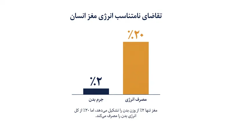 با وجود اندازه کوچک، مغز انسان بخش عظیمی از انرژی بدن را مصرف می‌کند و این امر آن را در برابر اختلالات متابولیک بسیار آسیب‌پذیر می‌سازد.