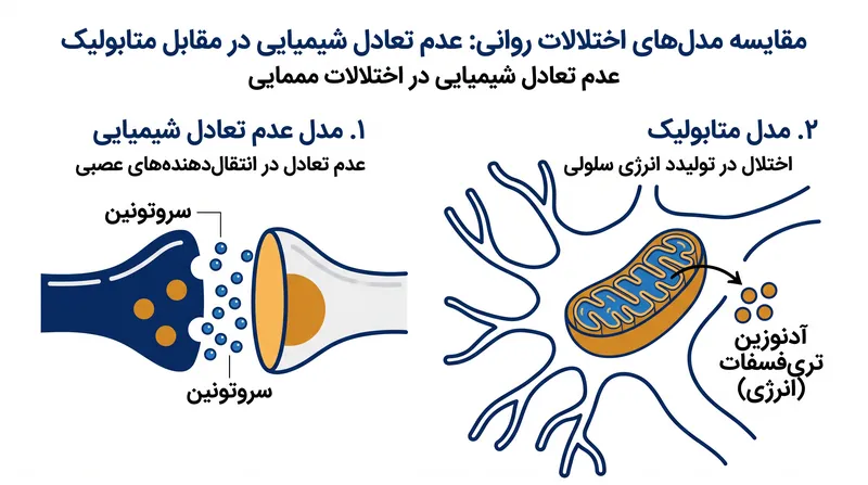چارچوب روانپزشکی متابولیک تمرکز را از فضاهای بین نورون‌ها به کارخانه‌های انرژی درون آنها تغییر می‌دهد.