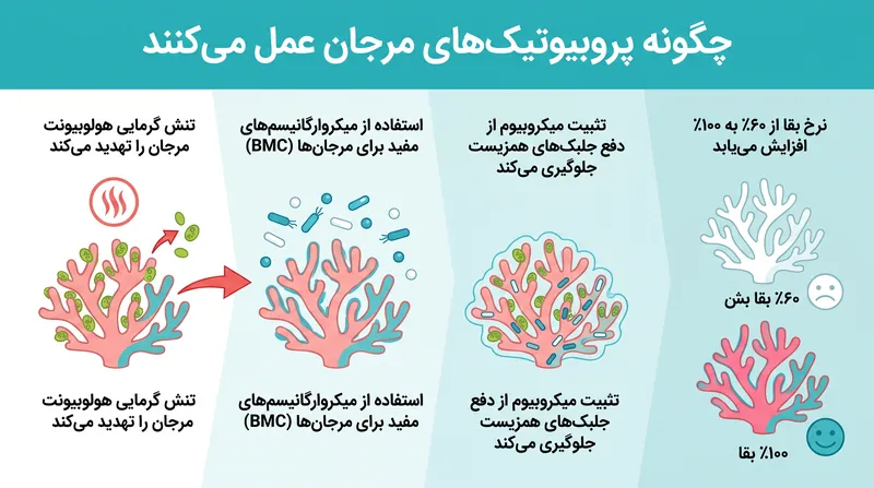 میکروارگانیسم‌های مفید مانند دارو عمل می‌کنند و زیست‌شناسی مرجان را در طول موج‌های گرمای شدید دریایی تثبیت می‌کنند.