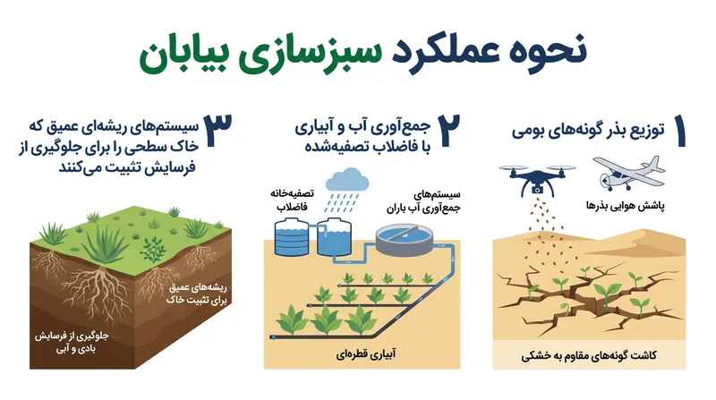 جنگل‌کاری بیابان متکی بر گونه‌های بومی است که به طور طبیعی شن‌های روان را تثبیت می‌کنند.