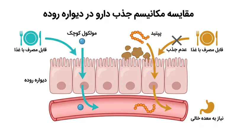 از آنجایی که اورفورگلیپرون یک مولکول کوچک است نه یک پپتید، توسط اسید معده از بین نمی‌رود و می‌توان آن را همراه با غذا مصرف کرد.