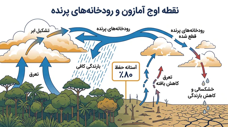 آستانه حفظ ۸۰ درصدی برای حفظ «رودخانه‌های پرنده» جنگل، که بارندگی منطقه‌ای را ایجاد می‌کنند، مورد نیاز است.