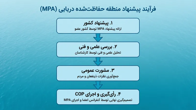 فرآیند دقیقی که برای تأسیس یک منطقه حفاظت‌شده دریایی جدید در آب‌های بین‌المللی مورد نیاز است.