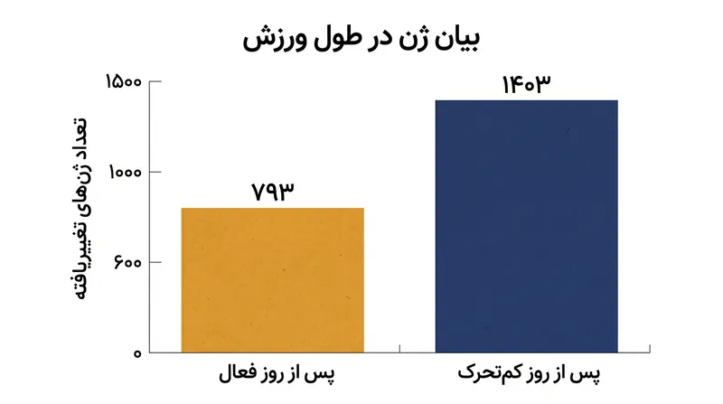 ماهیچه اسکلتی مجبور شد برای تکمیل تمرین پس از یک روز کم‌تحرکی، بیان ژن‌های تقریباً دو برابر بیشتری را تغییر دهد.