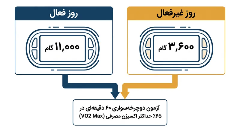آزمایش متقاطع، دقیقاً همان تمرین ۶۰ دقیقه‌ای را پس از دو روز فعالیت زمینه‌ای کاملاً متفاوت، مورد بررسی قرار داد.