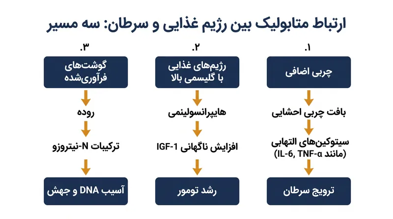 انکولوژی مدرن به طور فزاینده‌ای سرطان را از دریچه متابولیک می‌بیند، جایی که رژیم غذایی مستقیماً بر التهاب سلولی و سیگنالینگ هورمونی تأثیر می‌گذارد.