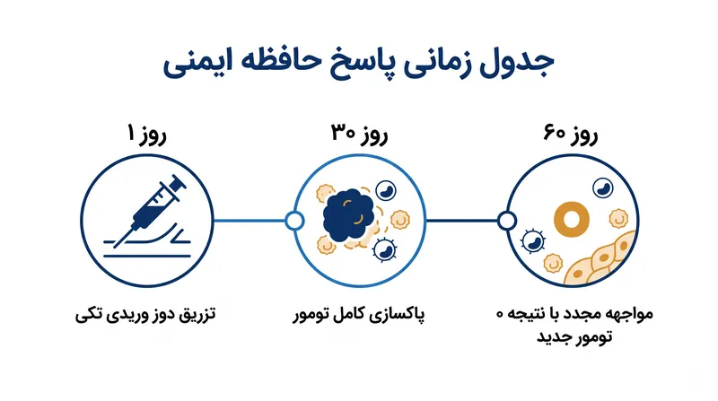 موش‌های تحت درمان با باکتری، حافظه ایمنی پایداری ایجاد کردند که از عود مجدد سرطان در مواجهه دوباره جلوگیری می‌کرد.