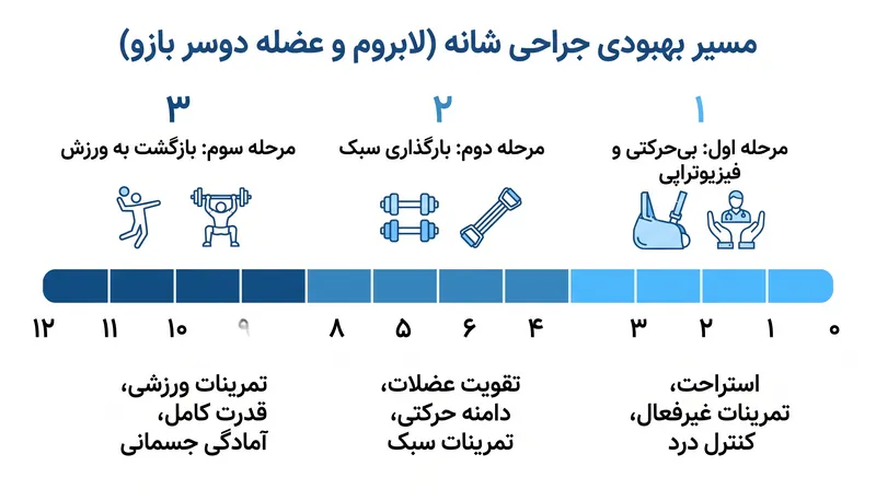 جدول زمانی معمول ۱۲ ماهه توانبخشی پس از ترمیم آرتروسکوپی شانه.
