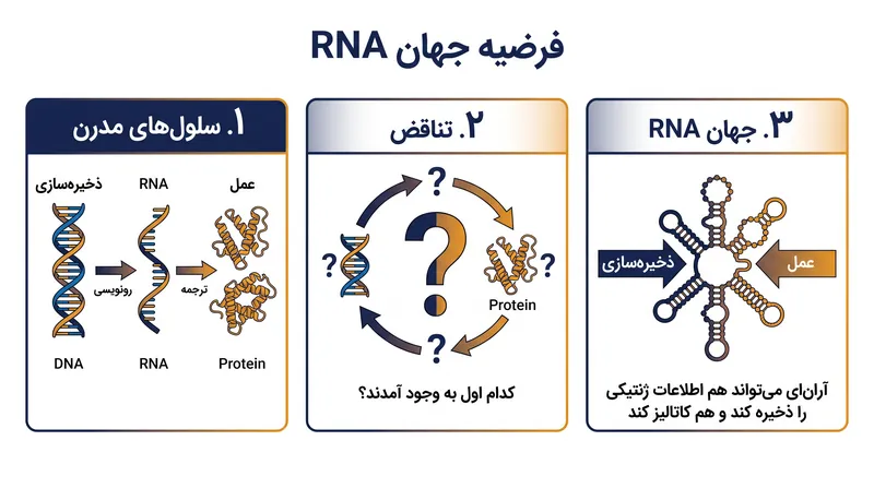 فرضیه جهان RNA اینگونه فرض می‌کند که حیات اولیه برای ذخیره‌سازی داده و کاتالیز واکنش‌ها، به یک مولکول واحد متکی بود.