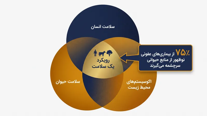 رویکرد «یک سلامت» پیوندهای عمیق زیست‌محیطی بین سلامت انسان، حیوان و محیط زیست را به رسمیت می‌شناسد.
