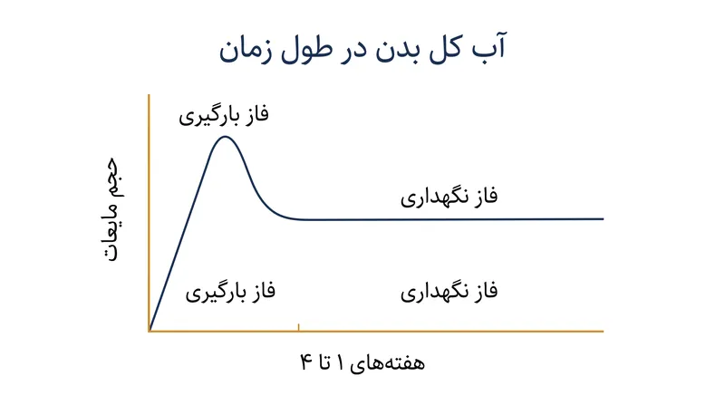 احتباس آب اولیه به سرعت تثبیت می‌شود، هنگامی که عضلات با کراتین اشباع می‌شوند.