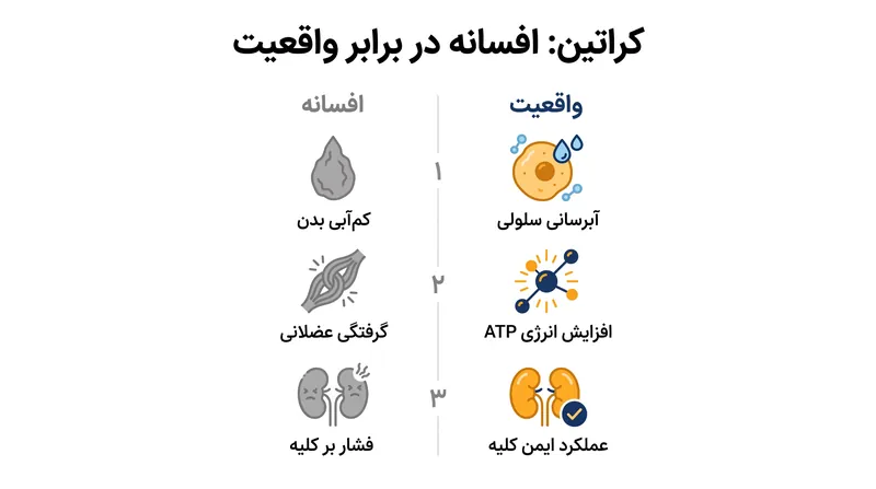 داده‌های بالینی مدرن به طور سیستماتیک رایج‌ترین ترس‌ها پیرامون مصرف کراتین را رد کرده است.