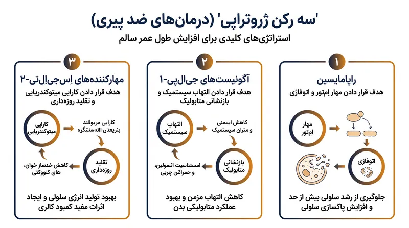 این کارآزمایی سه مسیر بیولوژیکی متمایز را که بر روند پیری تأثیر می‌گذارند، آزمایش خواهد کرد.