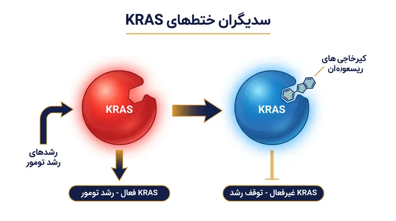 داروی جدید به عنوان یک گوه مولکولی عمل می‌کند و با لغزیدن به داخل یک جیب پنهان، پروتئین محرک سرطان را در حالت غیرفعال خود قفل می‌کند.