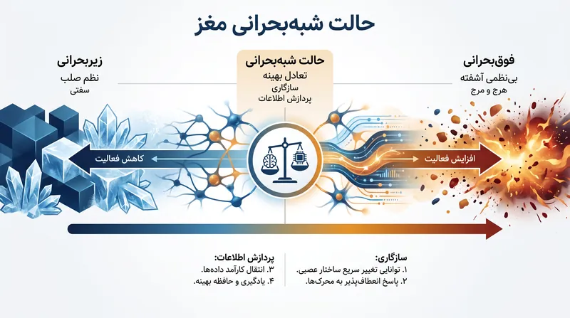 حالت شبه‌بحرانی نشان‌دهنده مرز بهینه بین نظم صلب و بی‌نظمی آشفته است.