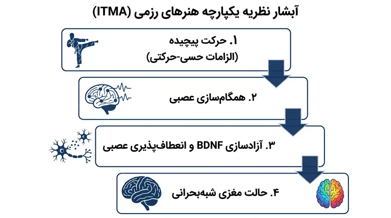 چارچوب ITMA چگونگی تبدیل تمرین فیزیکی به تغییرات ساختاری مغز را تشریح می‌کند.