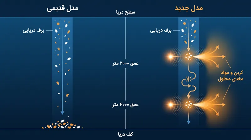 چگونه فشار هیدرواستاتیک شدید، پمپ بیولوژیکی را با فشردن فیزیکی مواد مغذی از مواد آلی در حال غرق شدن تغییر می‌دهد.