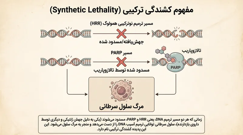 کشندگی ترکیبی زمانی رخ می‌دهد که یک سلول سرطانی مکانیسم‌های ترمیم DNA اصلی و پشتیبان خود را به طور همزمان از دست بدهد.