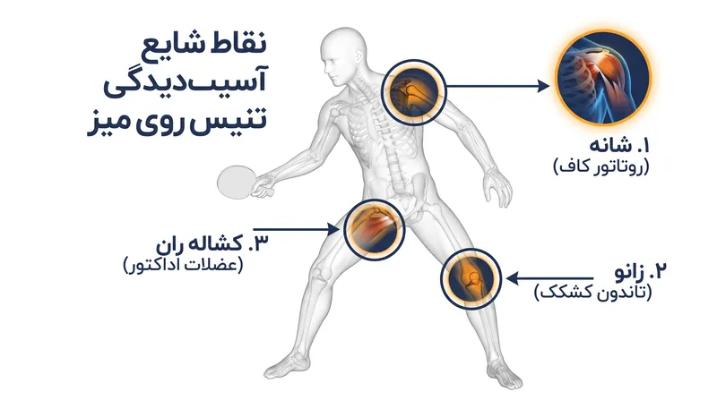 نقاط شایع آسیب‌دیدگی برای بازیکنان حرفه‌ای تنیس روی میز که در تقویم فشرده WTT شرکت می‌کنند.