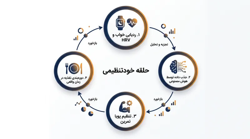 چگونه الگوریتم‌های هوش مصنوعی بیومتریک شبانه را برای تنظیم تمرین و سوخت‌رسانی روزانه پردازش می‌کنند.