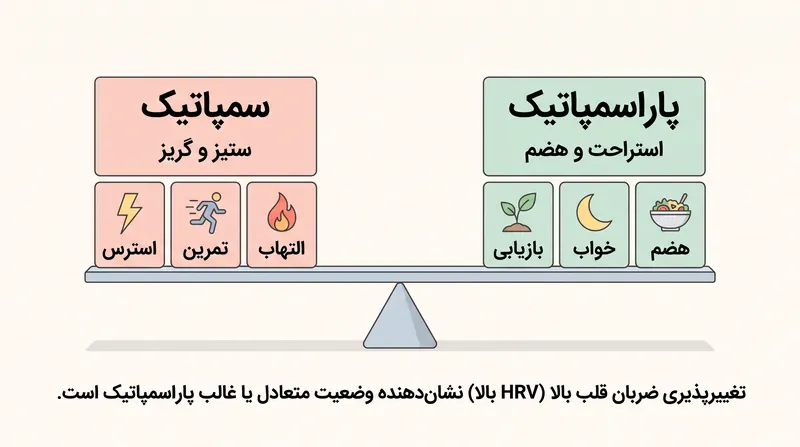 تغییرپذیری ضربان قلب پنجره‌ای مستقیم به سطوح استرس سیستمی بدن فراهم می‌کند.