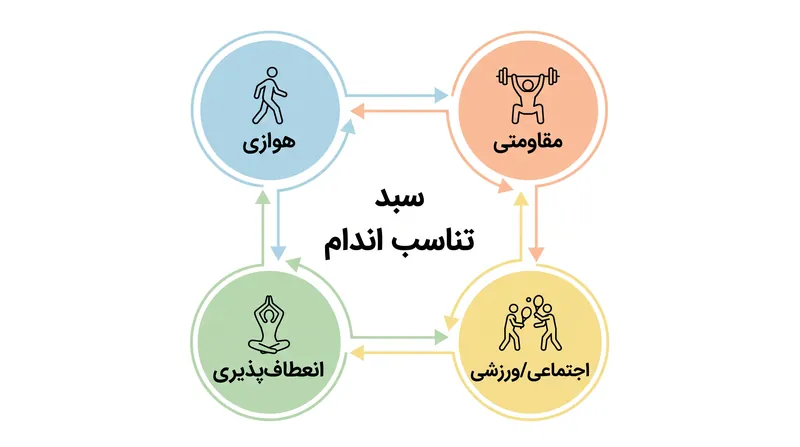 یک سبد تناسب اندام متعادل، استرس فیزیکی را در سیستم‌های انرژی مختلف و گروه‌های عضلانی توزیع می‌کند.