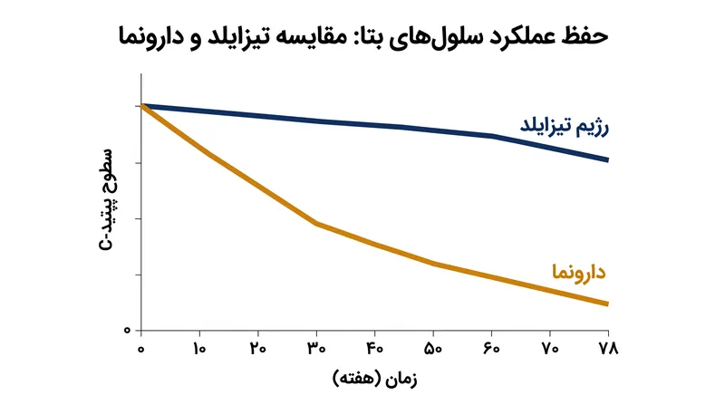 در کارآزمایی بالینی PROTECT، بیمارانی که تحت درمان با تیزایلد قرار گرفتند، سطوح پپتید-C (شاخص تولید انسولین) را در طول ٧٨ هفته در سطح قابل توجهی بالاتری حفظ کردند.