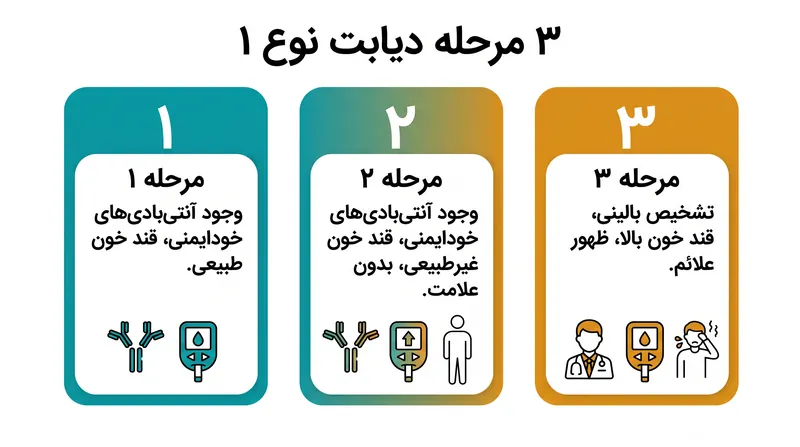 دیابت نوع ۱ قبل از اینکه معمولاً تشخیص بالینی داده شود، در سه مرحله متمایز پیشرفت می‌کند.
