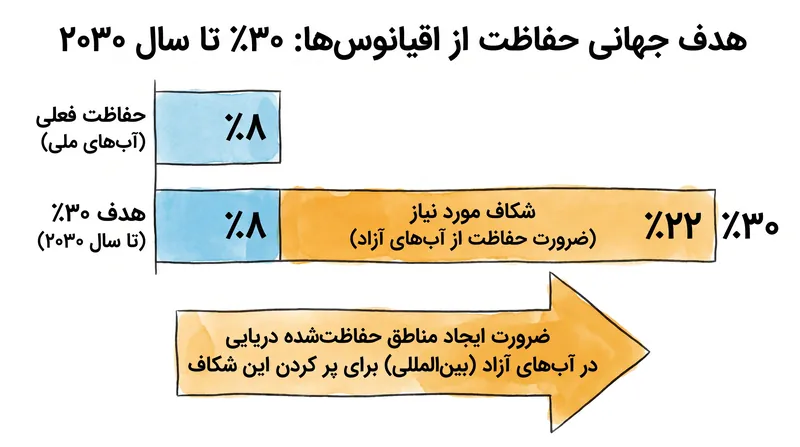 دستیابی به هدف جهانی حفاظت ۳۰ در ۳۰ نیازمند حفاظت‌های گسترده در آب‌های بین‌المللی است.