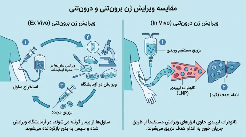 کریسپر درون‌تنی نیاز به استخراج طاقت‌فرسای سلول و شیمی‌درمانی را از بین می‌برد و ابزارهای ویرایش را مستقیماً به اندام هدف می‌رساند.