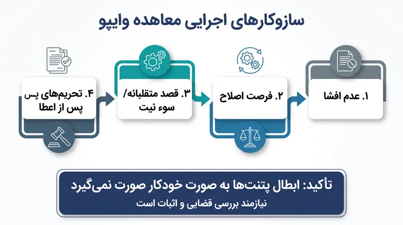 این معاهده بین شفافیت و اطمینان حقوقی توازن برقرار می‌کند و به متقاضیان فرصت اصلاح کاستی‌ها را می‌دهد.