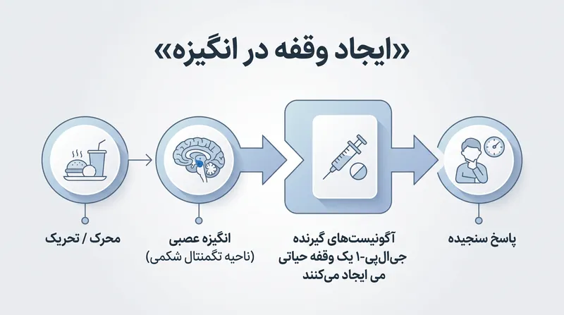 محققان تأثیر داروهای جی‌ال‌پی-۱ را به درمان شناختی رفتاری تشبیه می‌کنند، که یک مکث حیاتی قبل از تبدیل شدن انگیزه به عمل ایجاد می‌کند.