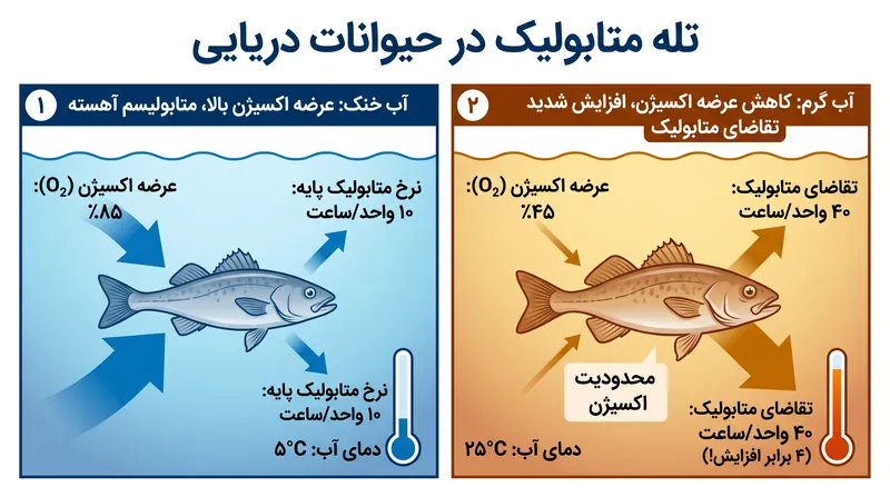 چگونه گرم شدن اقیانوس‌ها با افزایش همزمان تقاضای اکسیژن حیوان و کاهش عرضه اکسیژن آب، یک تله متابولیک ایجاد می‌کند.