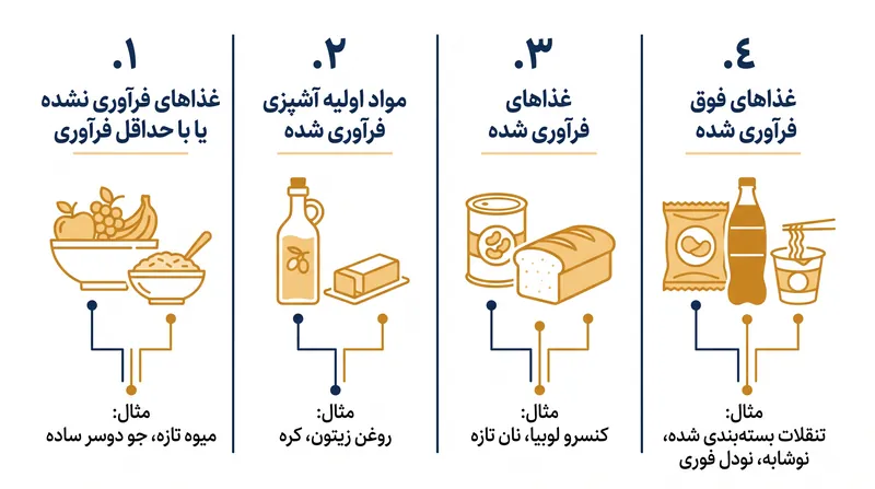 سیستم طبقه‌بندی نوا غذاها را بر اساس میزان و هدف فرآوری صنعتی آنها دسته‌بندی می‌کند.