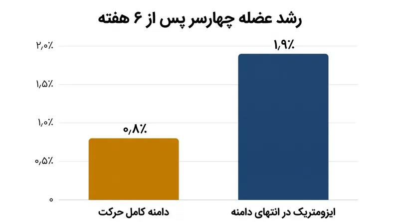 پروتکل ایزومتریک منجر به بیش از دو برابر رشد متوسط عضله چهارسر نسبت به وزنه‌برداری سنتی شد.
