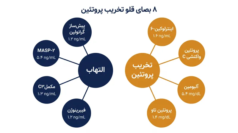 مدل هوش مصنوعی هشت پروتئین خاص مرتبط با التهاب و تخریب پروتئین‌های غیرفعال را تحلیل می‌کند.