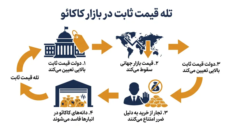 چگونه تثبیت قیمت توسط دولت ناخواسته باعث سرگردانی صدها هزار تن کاکائو شد.