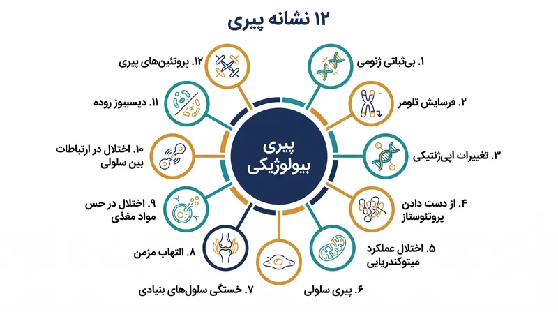 درمان‌های افزایش طول عمر به جای بیماری‌های منفرد، مکانیسم‌های بیولوژیکی ریشه‌ای پیری را هدف قرار می‌دهند.