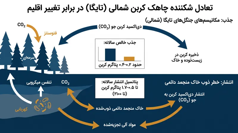 چگونگی تعادل چاهک کربن زمین‌های شمالی بین جذب کربن و انتشار ناشی از ذوب شدن خاک منجمد دائمی.