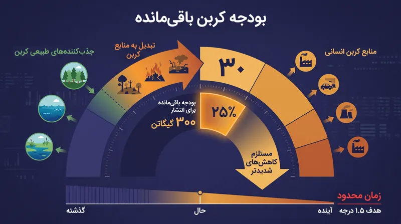 تضعیف جذب‌کننده طبیعی کربن مستقیماً بودجه کربن باقی‌مانده در دسترس بشریت را کاهش می‌دهد.